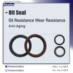 Oil Seal